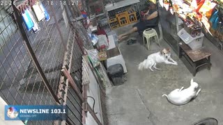 Lalaban Na Tayo mga Kababayan Lalaban Na Tayo