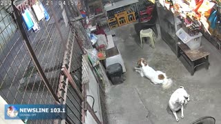 Lalaban Na Tayo mga Kababayan Lalaban Na Tayo