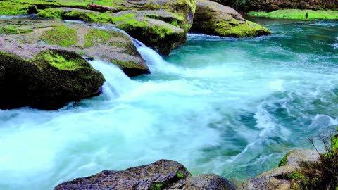 🌿Gentle River Flow | Relaxing Nature Sounds for Peace & Calm🌊