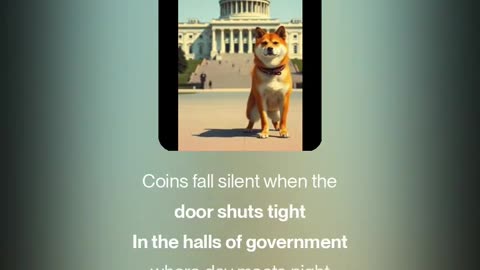 Don't Be Afraid of The Dog e