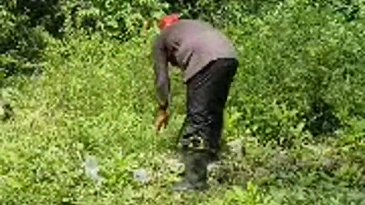 Expat in the Philippine, Day at the farm.