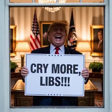 il Donaldo Trumpo - THIS IS SO MUCH FUN!!!🤪TRUMP MEME MEMES