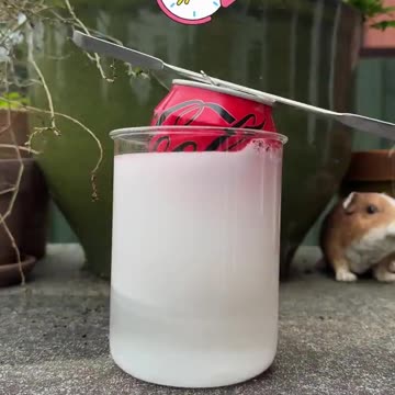 A soda can is just a plastic bag. Yes you read that right.