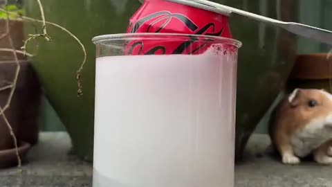 A soda can is just a plastic bag. Yes you read that right.