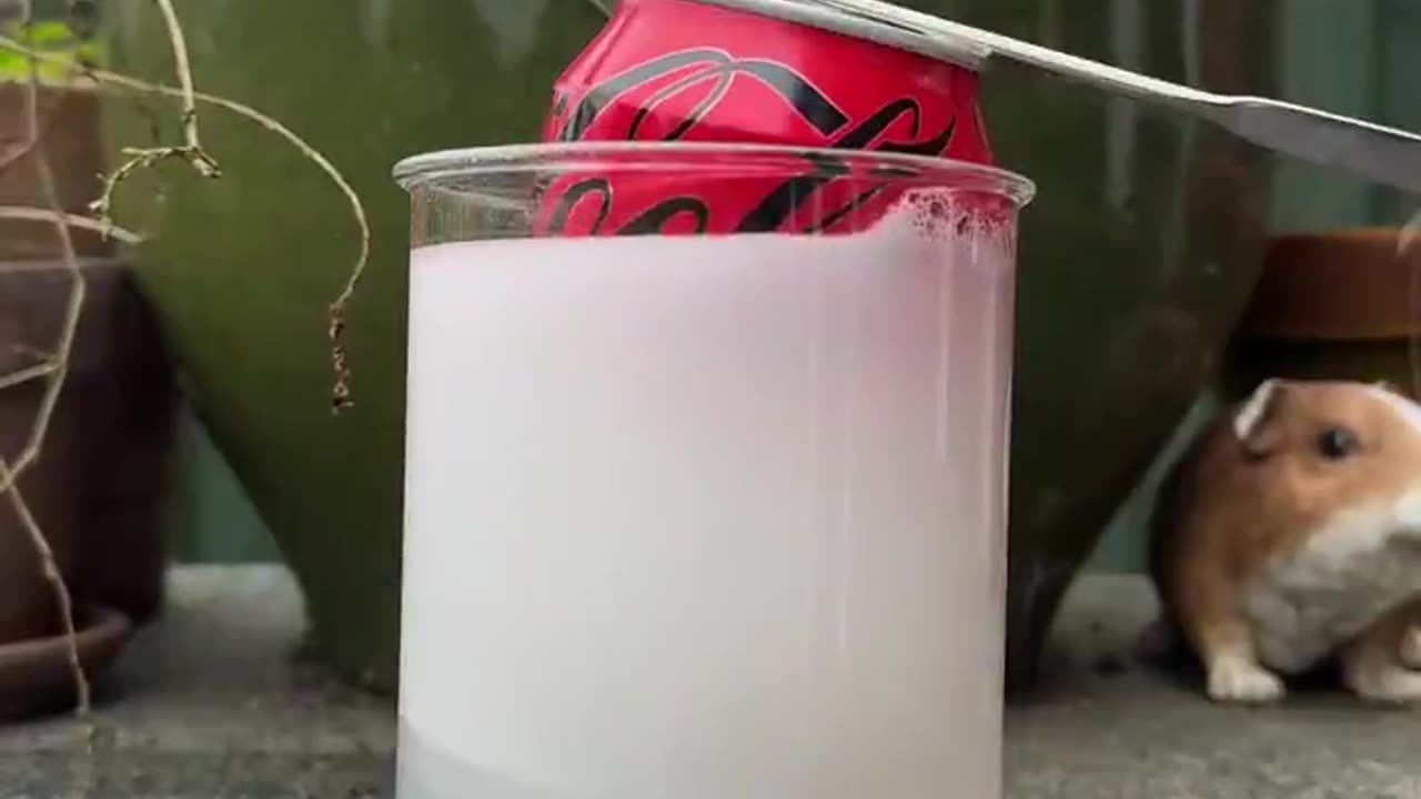 A soda can is just a plastic bag. Yes you read that right.