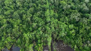 Peru looks to revive oil output amid opposition and past pollution