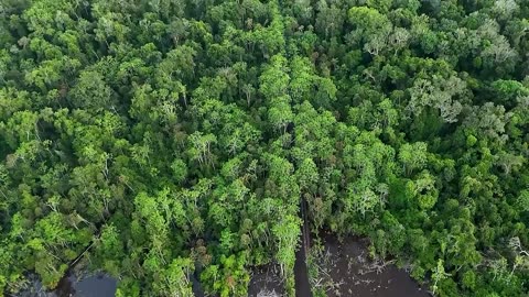 Peru looks to revive oil output amid opposition and past pollution