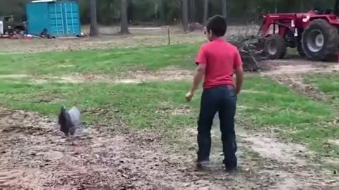 Funny Wild Animals Compilation || Animals vs Humans- Try Not To Laugh