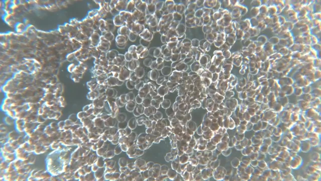 Rencontre avec son sang. Témoignage