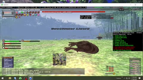Playing Final Fantasy XI Online