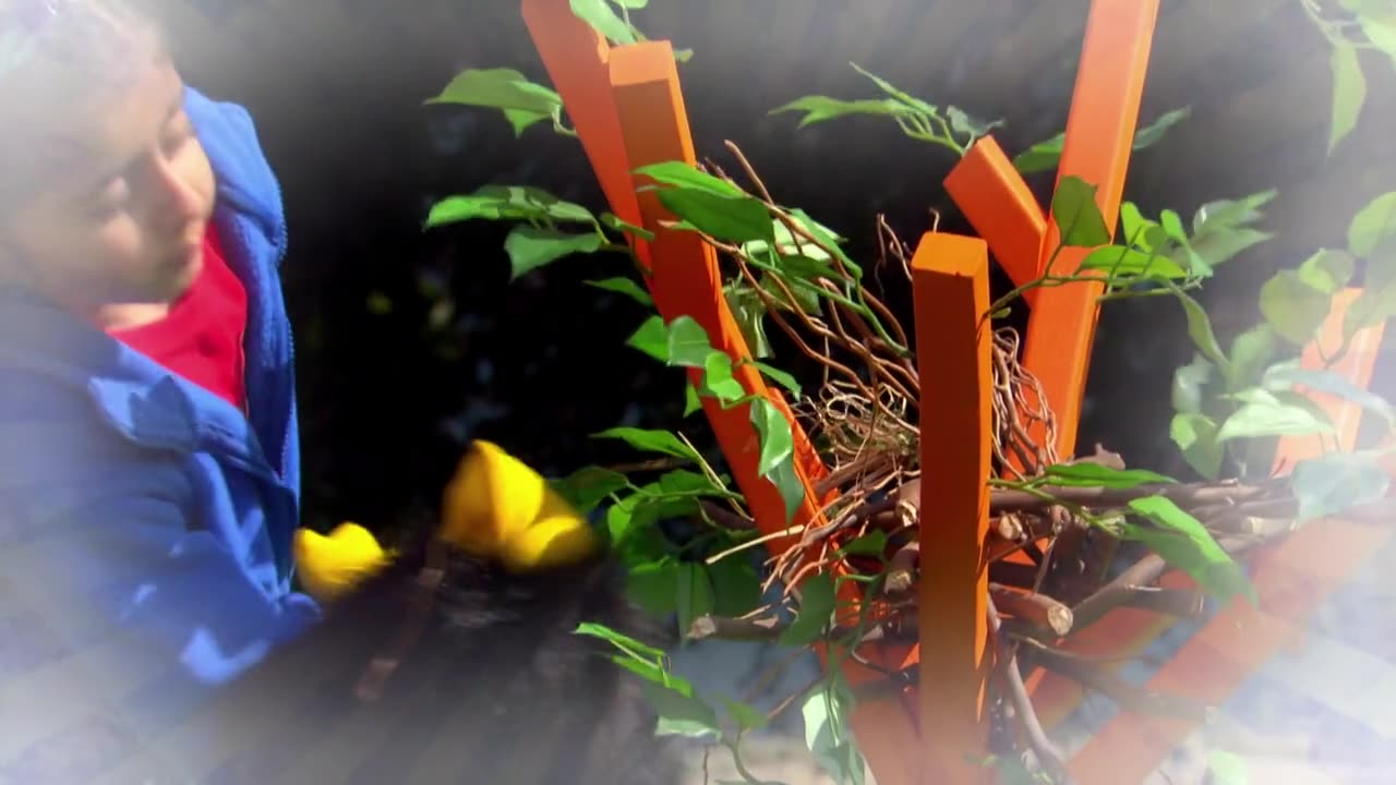 Nina y las Neuronas - T10E04 - Nidos