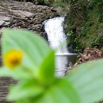 How Animals Survive in the Wild