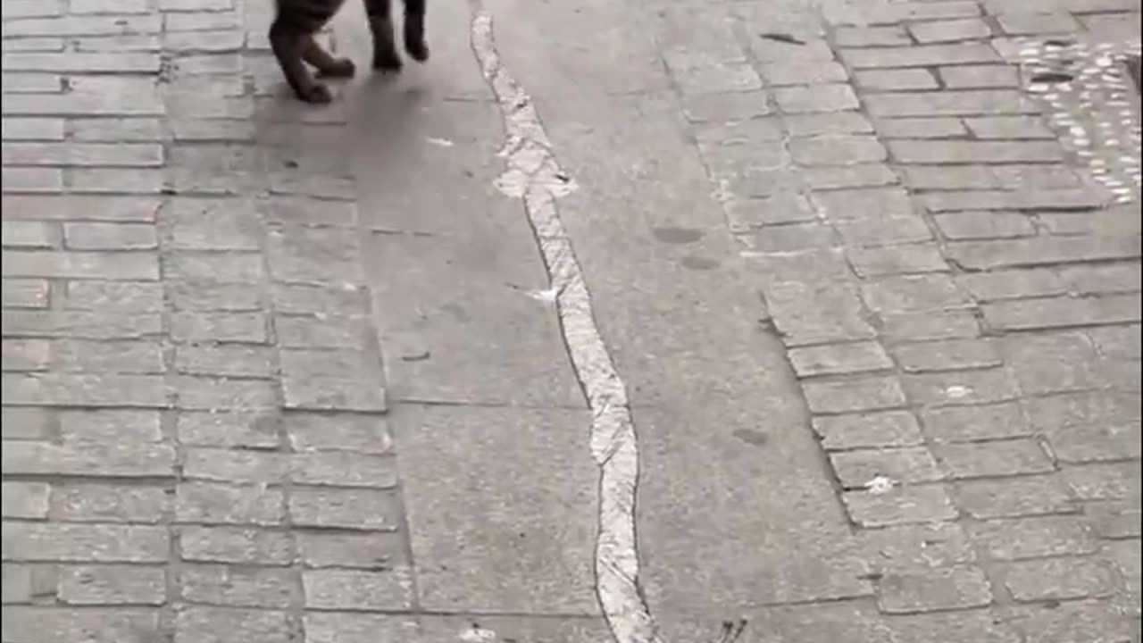 Urban irrigation expert