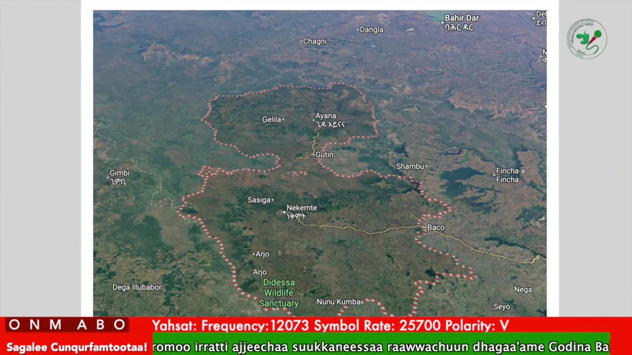 Oduu Galgala ONM-ABO Hagayya 18-2025 itti dhiyaadhaa!