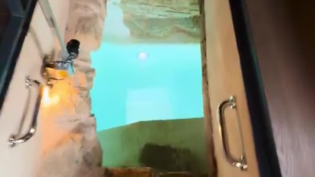 Imagine having a hidden pool beneath your living room