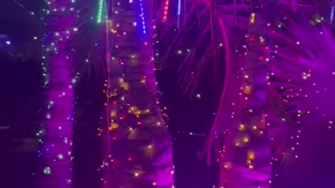 God Feed Soul with Spiritual Food of Truth Love Light Meditative Silence to Become Multidimensional