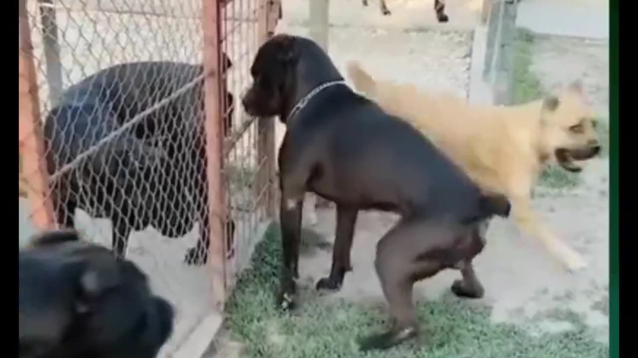 He paid for only fans 😂😂😂