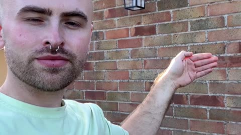 Pigeon Lands on Man's Head