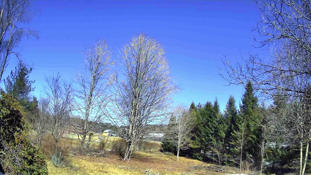 Cris Ericson Demands an Amendment to the U.S. Constitution to End Marijuana Cannabis Prohibition