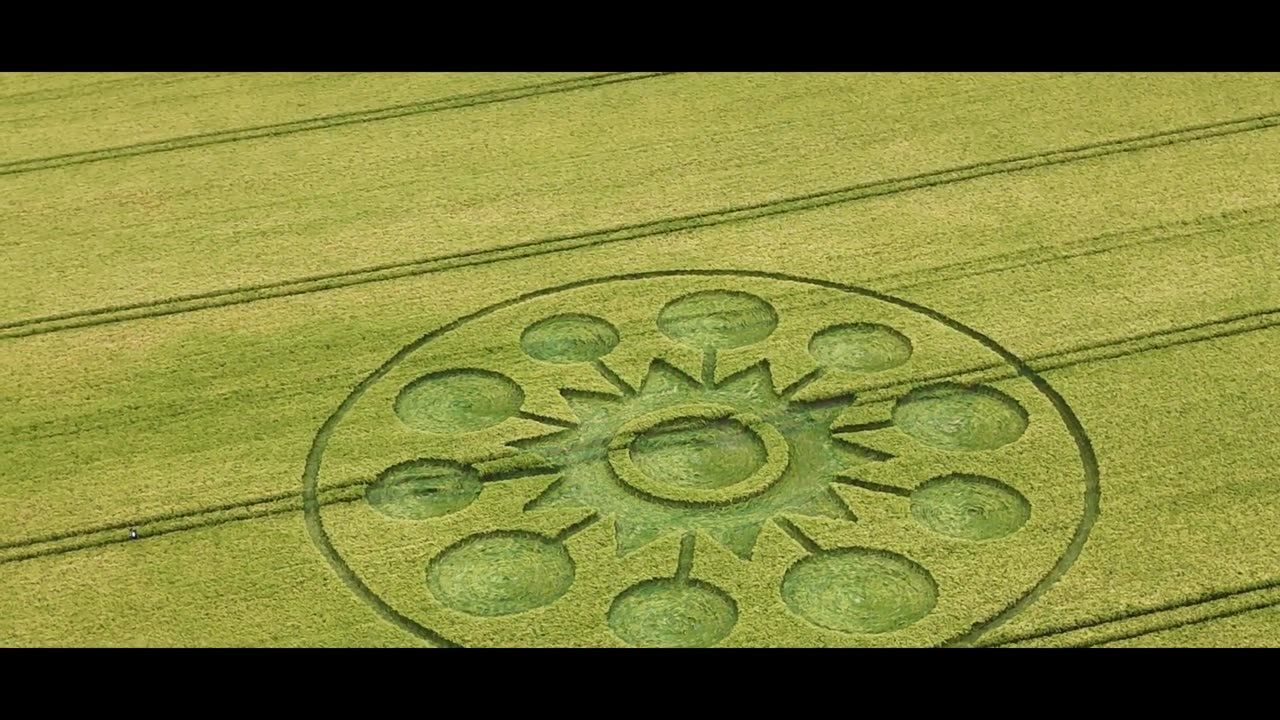 Crop Circle à Falkner's Circle, Avebury 06/08/2025