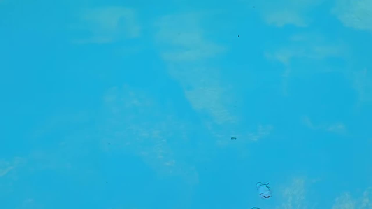 Eye-Catching Cartoon Animation Designed