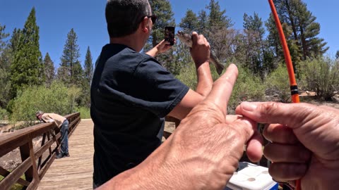 Trout fishing