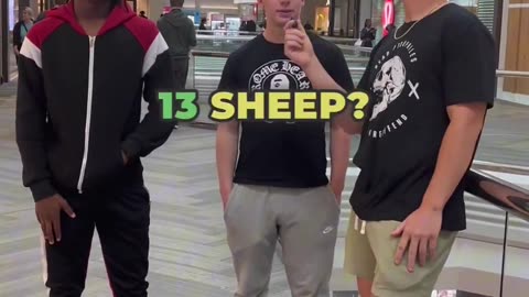 13 Bad Sheep
