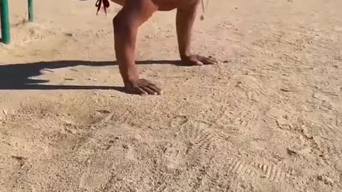 My Anime push up Workout! Try it!