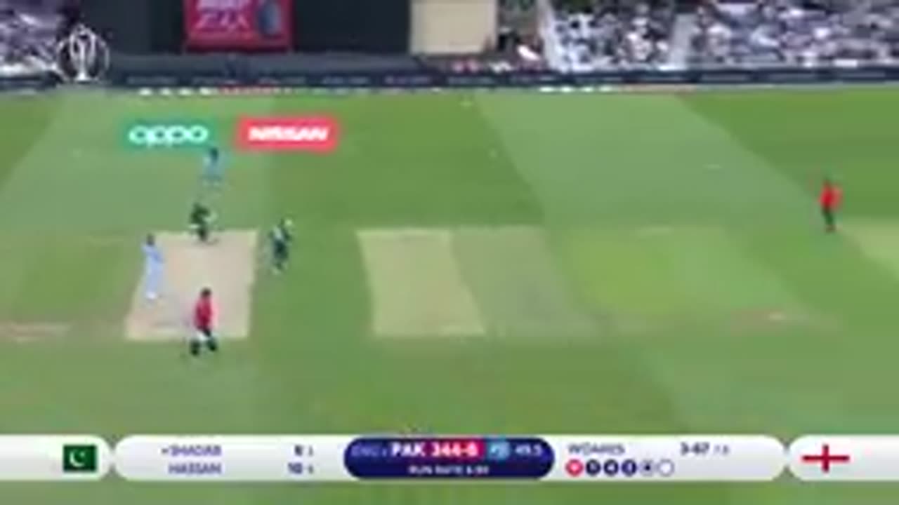 Cricket Lovers
