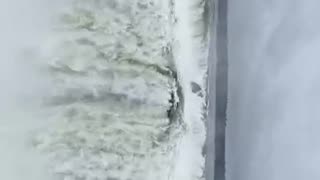 The Power of Nature. Victory to TruthFreedomHealth.com