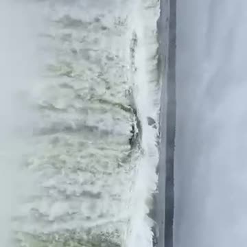 The Power of Nature. Victory to TruthFreedomHealth.com