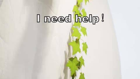 3 of the hardest things for people to say