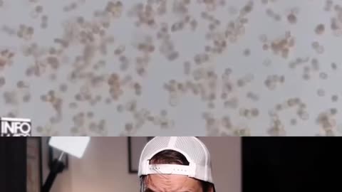 ⛔️A doctor examines four different vaccine samples,