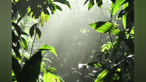 Some pics of our adventure today