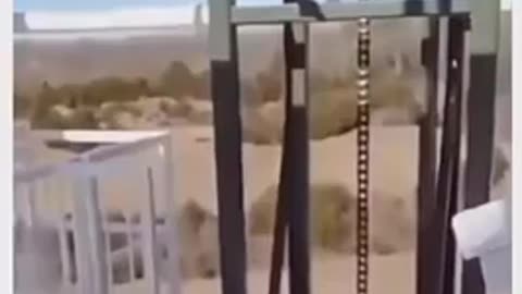 😂🐾 Wild Animal Fail! | FunFM