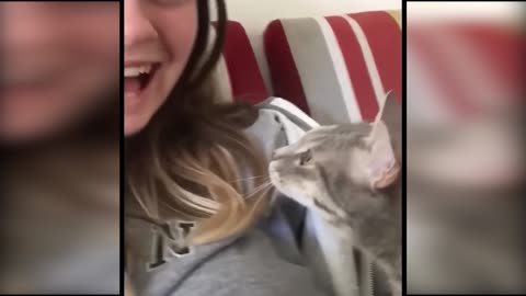 😂 Funniest Cat Moments Ever | Try Not to Laugh Challenge 😺