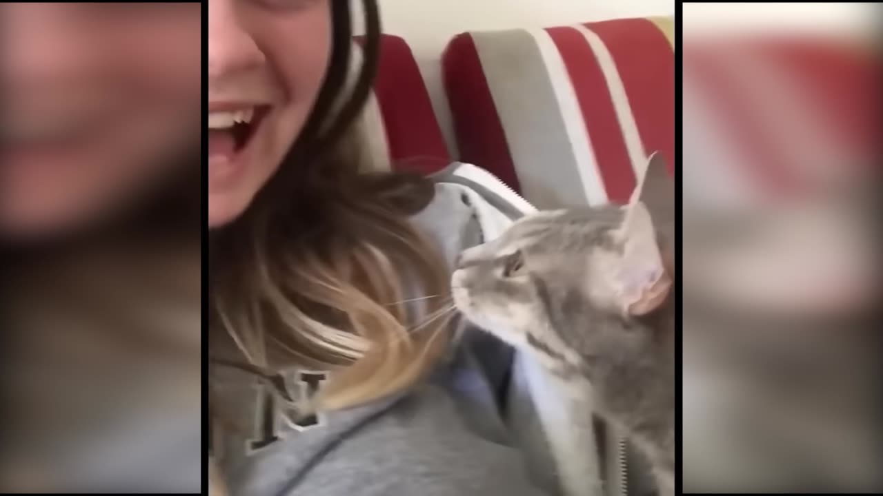 😂 Funniest Cat Moments Ever | Try Not to Laugh Challenge 😺