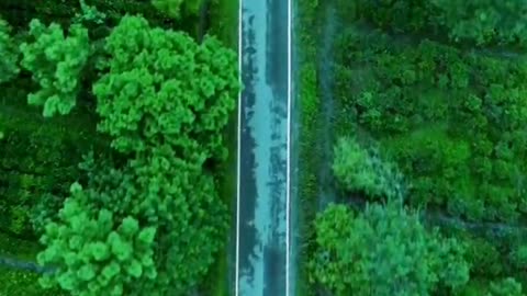 Natural scenery