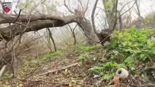 🎥⚔️ Ukraine Russia War | Ukrainian 3rd SOF Regiment Combat Operations in Pokrovsk Sector | RCF