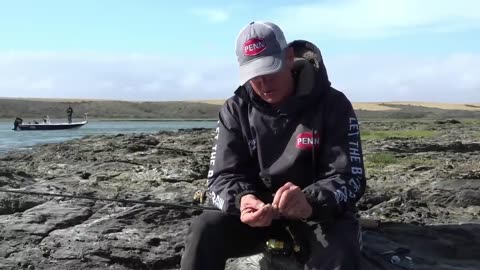 Rigging Pencil BaitRazor Clam for Grunter