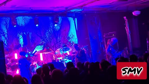 #ShittyMillennialVideos 📱📹🎬 SGM 😴🦍🖼️🎨 - Old Grey Heron 🪿⛵ @ WOW Hall Eugene, OR 03/01/2024
