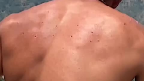 Indian Army Training and heard work