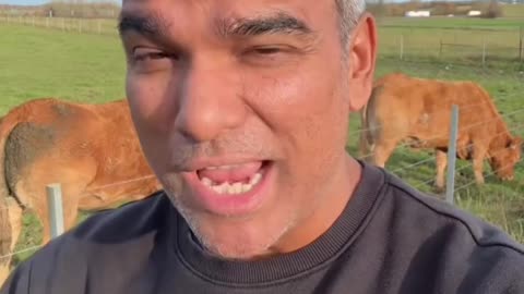 The past is not the past