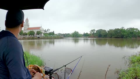 Bluegill Fly Fishing in Quiet Pond Edges