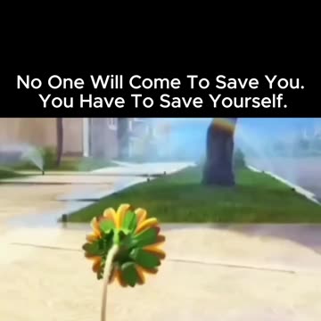 No one will come to save you. You have to save yourself👌💪