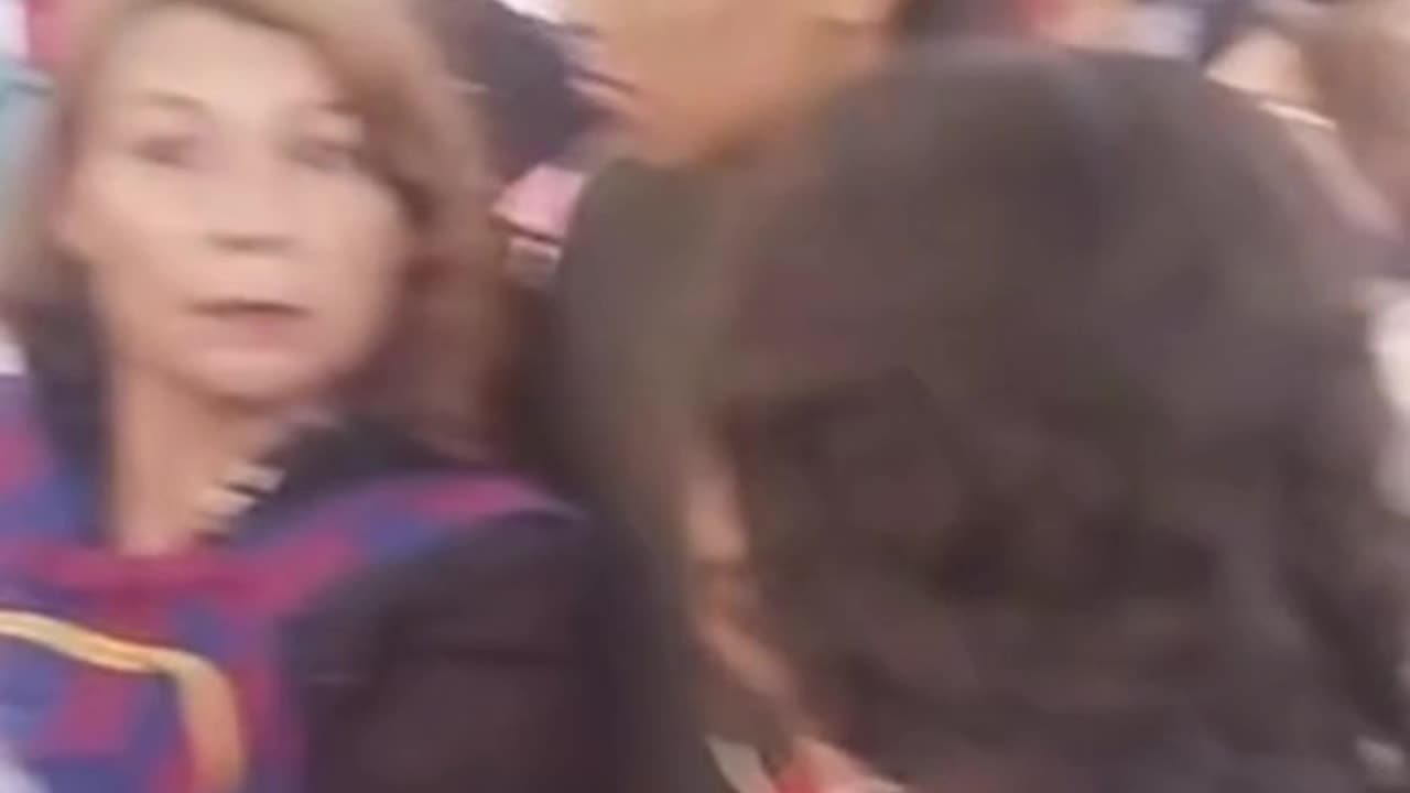 Video 1- Sequence of videos showing the shooting