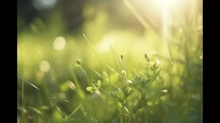 Lord Winter - Spring