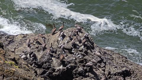 Cape Disappointment State Park, Washington