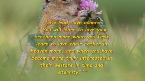 Love God