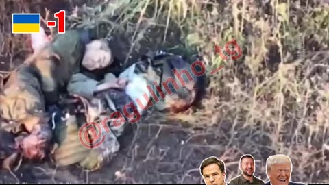 War in ukraine